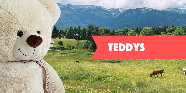 Entdecken Sie unser Angebot an Teddys