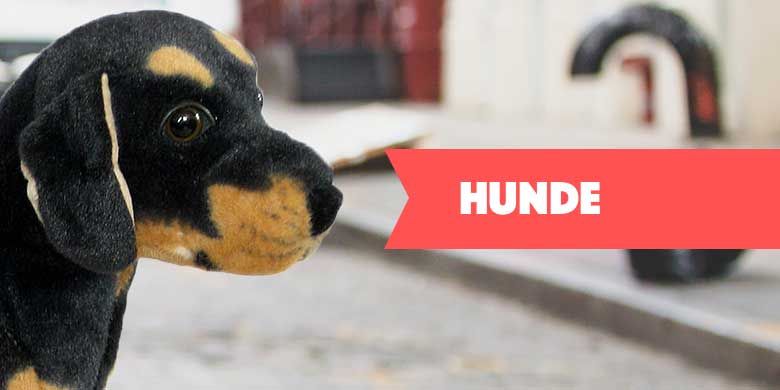 Entdecken Sie unser Angebot an Plüsch- und Stofftierhunden